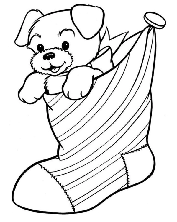 Dibujo para Colorear Cachorro en calcetín