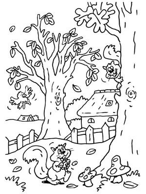 Herfst Bos Scene met Eekhoorns