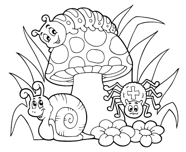 Dibujo para Colorear Seta de otoño Araña Caracol y Oruga