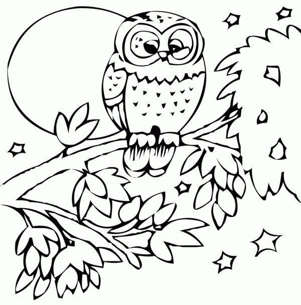 Fall Owl in Tree Coloring Page