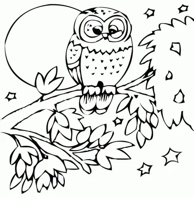 Fall Owl in Tree